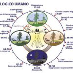 1orologio-biologico-um_opt